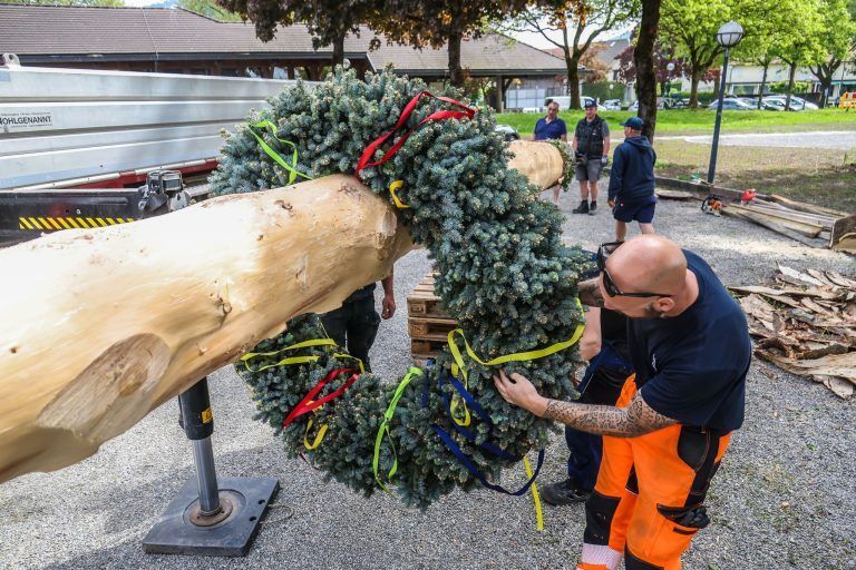 Eine Fichte, ein Dorf, ein Fest: Kraftakt für den Maibaum