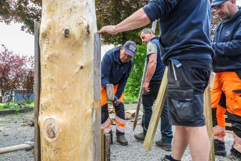 Eine Fichte, ein Dorf, ein Fest: Kraftakt für den Maibaum