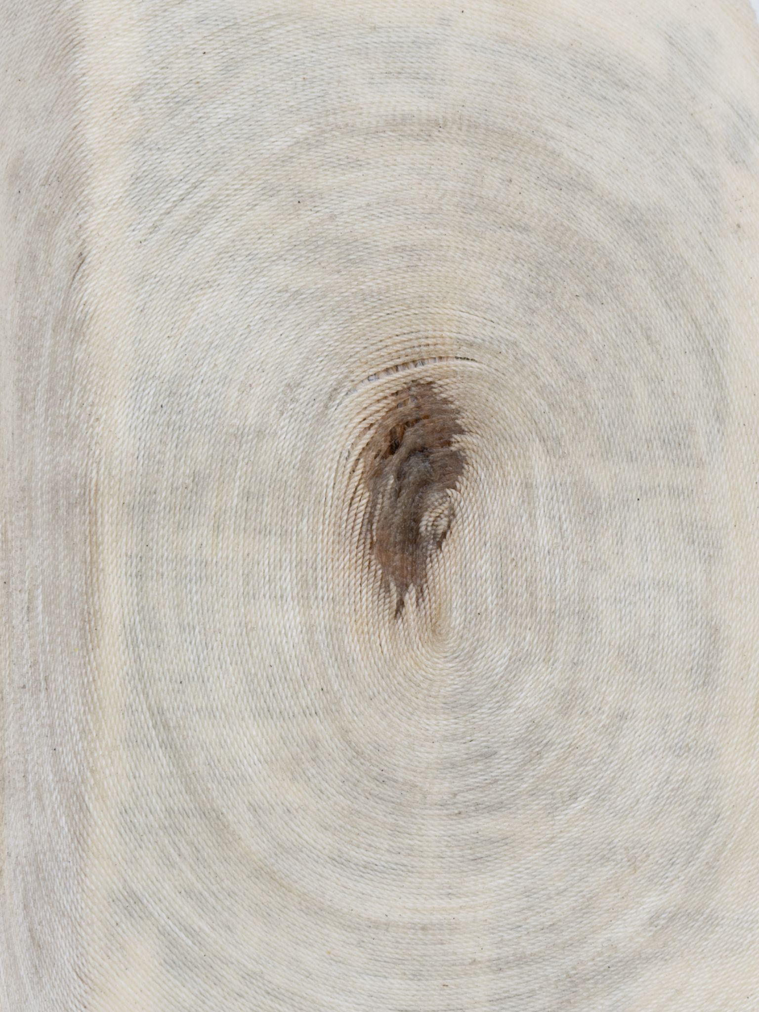 In der Ausstellung geht Mari Iwamoto der Frage nach, warum Wörter aufhören zu sein und in der Vergessenheit verschwinden, als wären sie nie vorhanden gewesen.