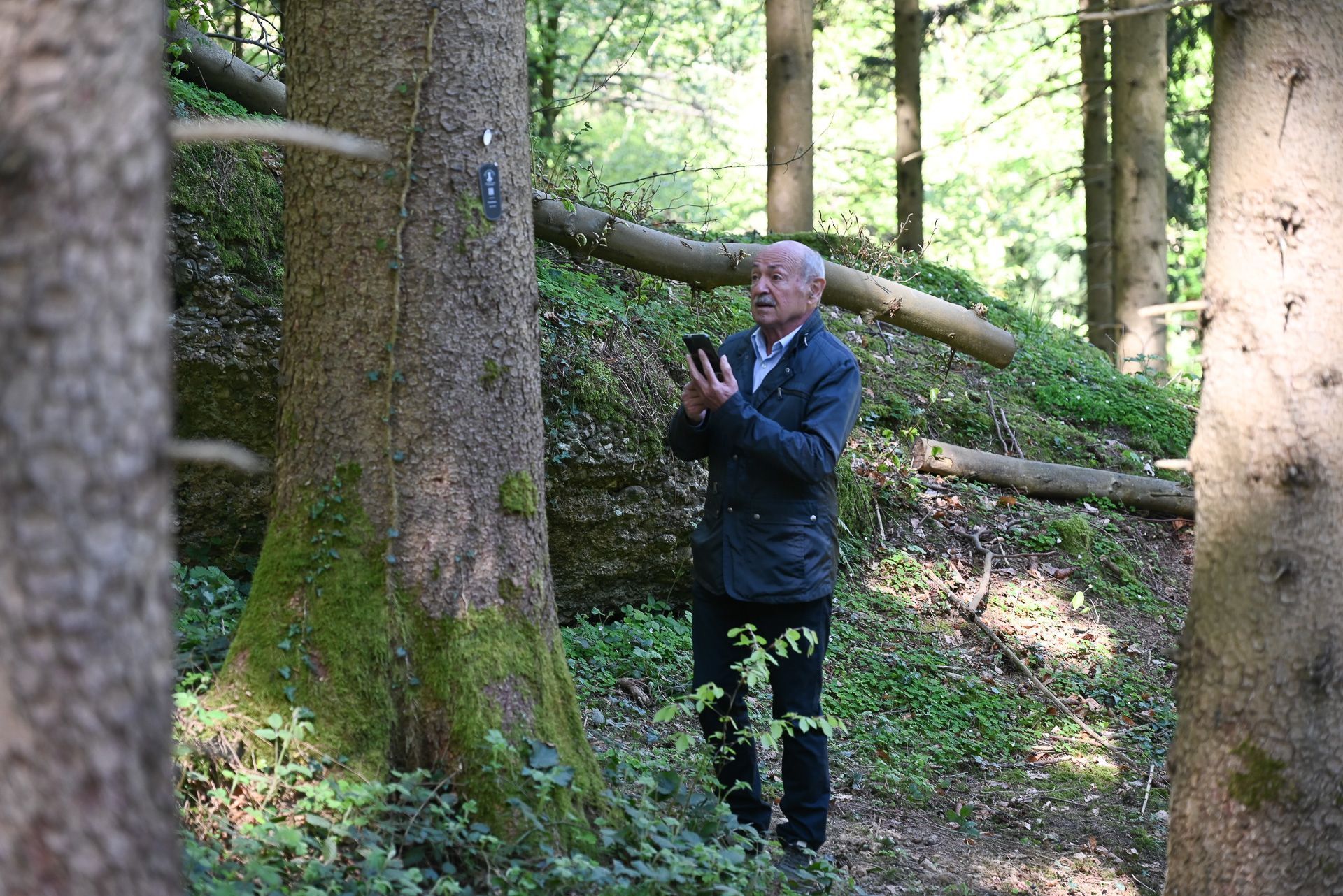 Menschen spazierten an den Bäumen entlang auf der Suche nach einem würdevollen Platz.