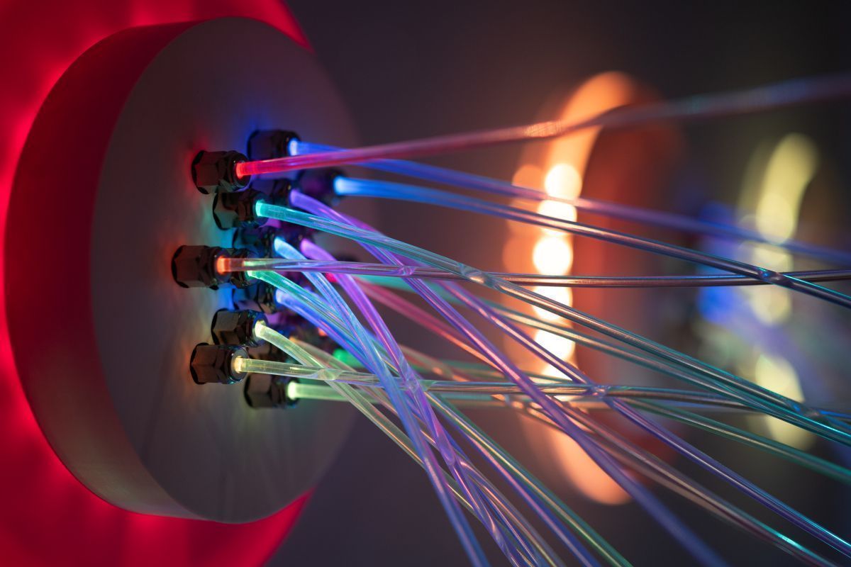 224 internationale Unternehmen kamen 2025 nach Wien