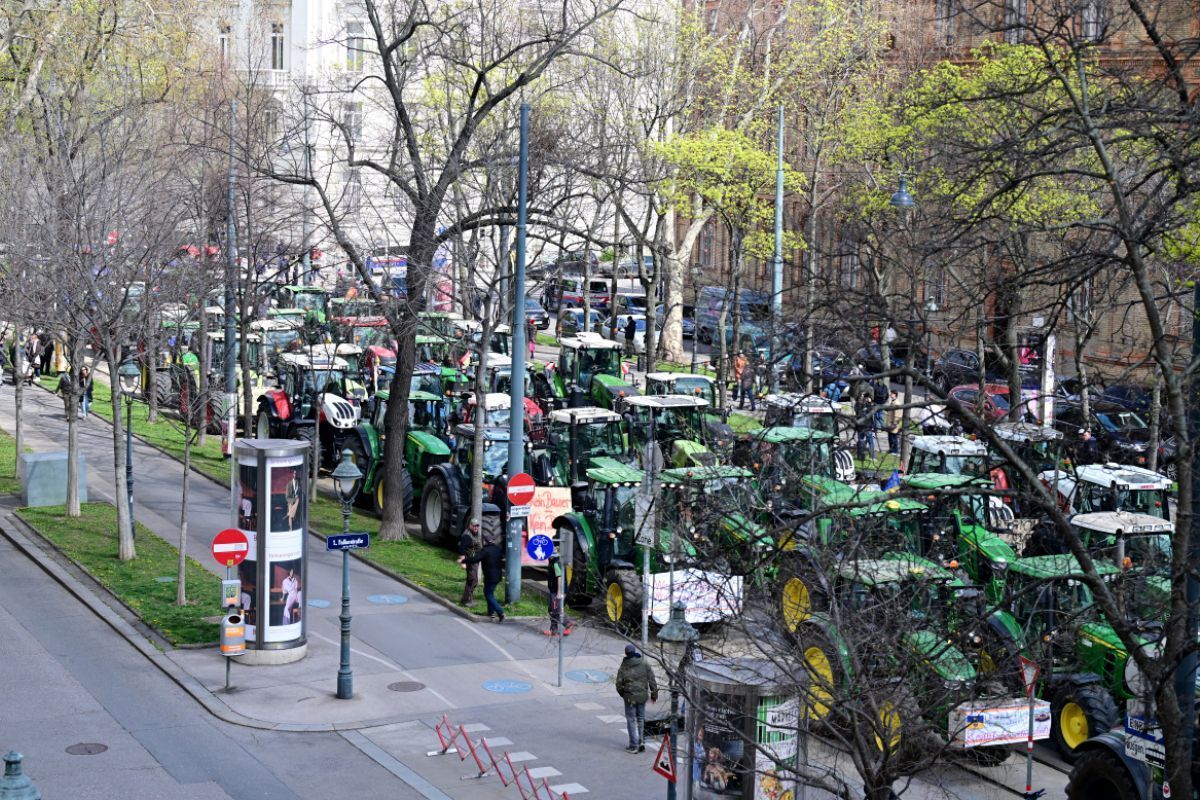 Bauern demonstrierten in Wien für "bessere Zukunft"
