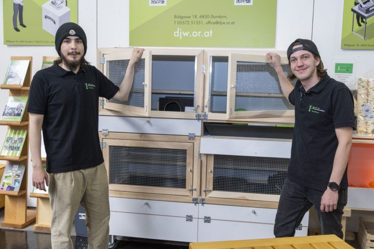 Zwischen Kirschbaum und Hühnerstall: Vorhang auf für die Schau!