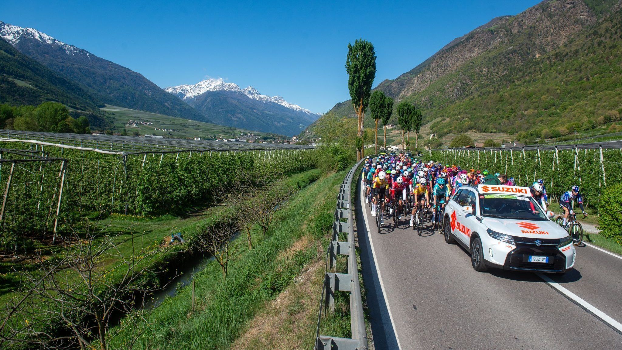 Rad Tour of the Alps 2026