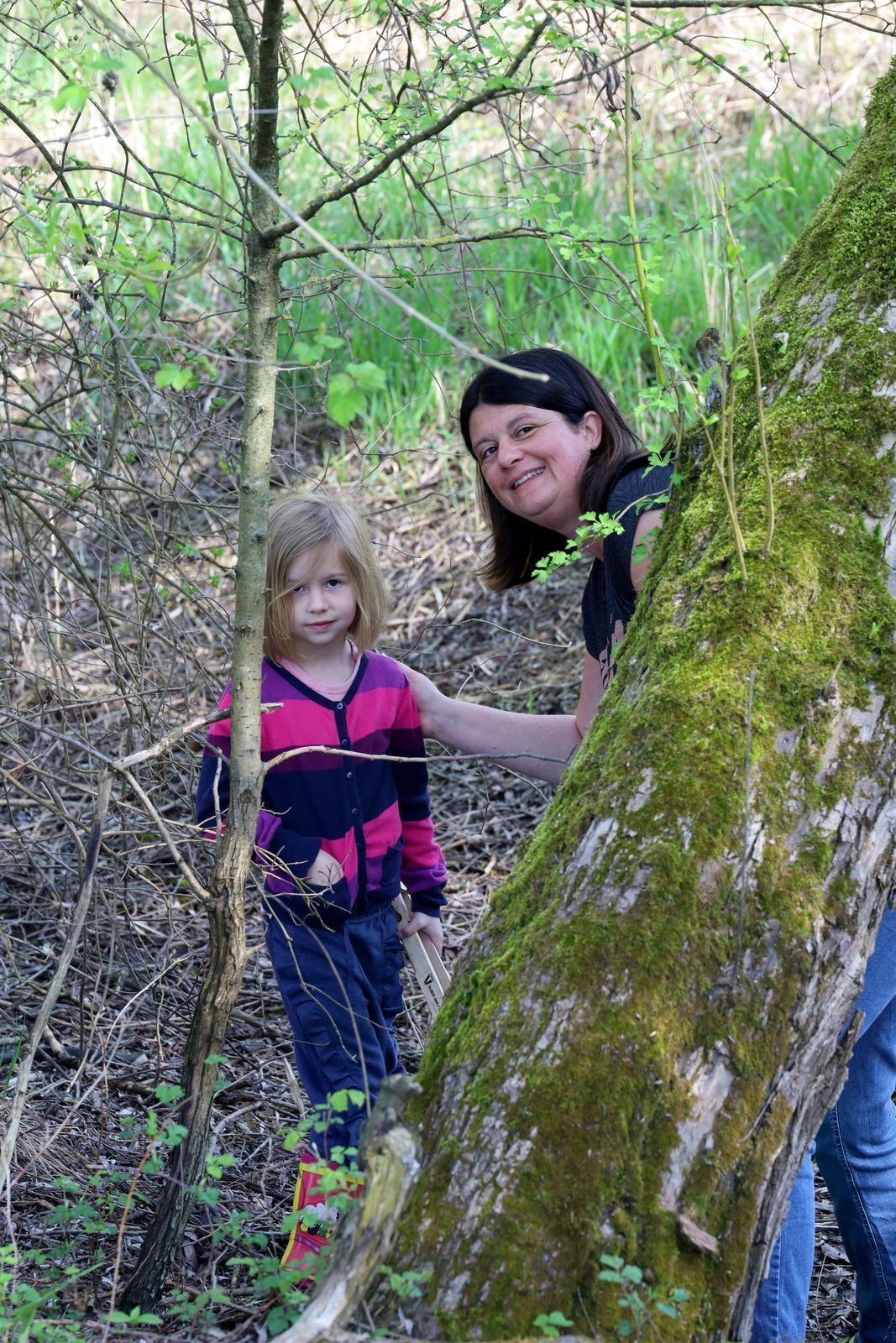 Seeufer- und Flurreinigung in Hörbranz (Bildergalerie)