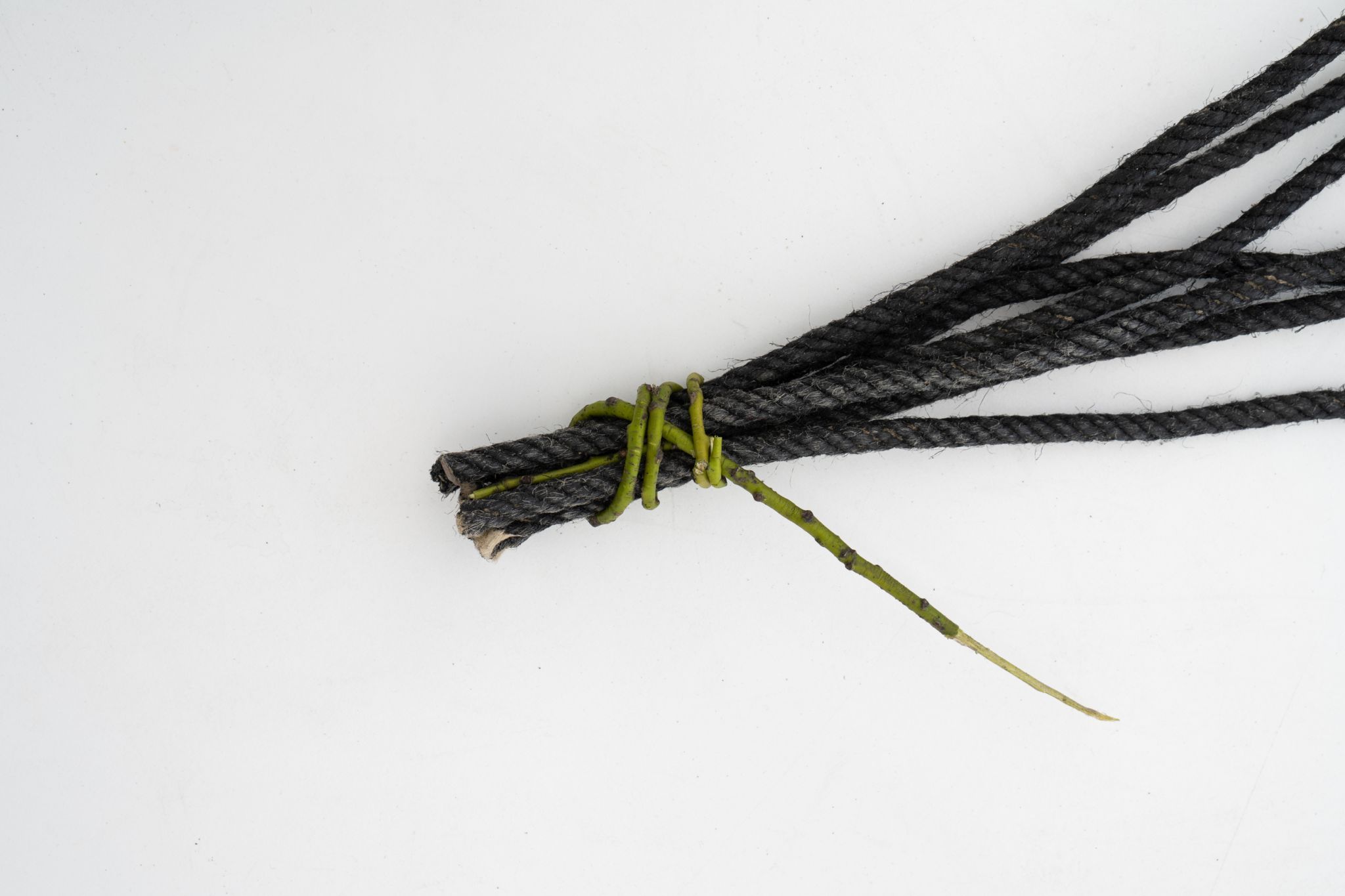 Die Ausstellung im Kunstraum Remise in Bludenz ist noch bis 19. April 2026 zu besichtigen.