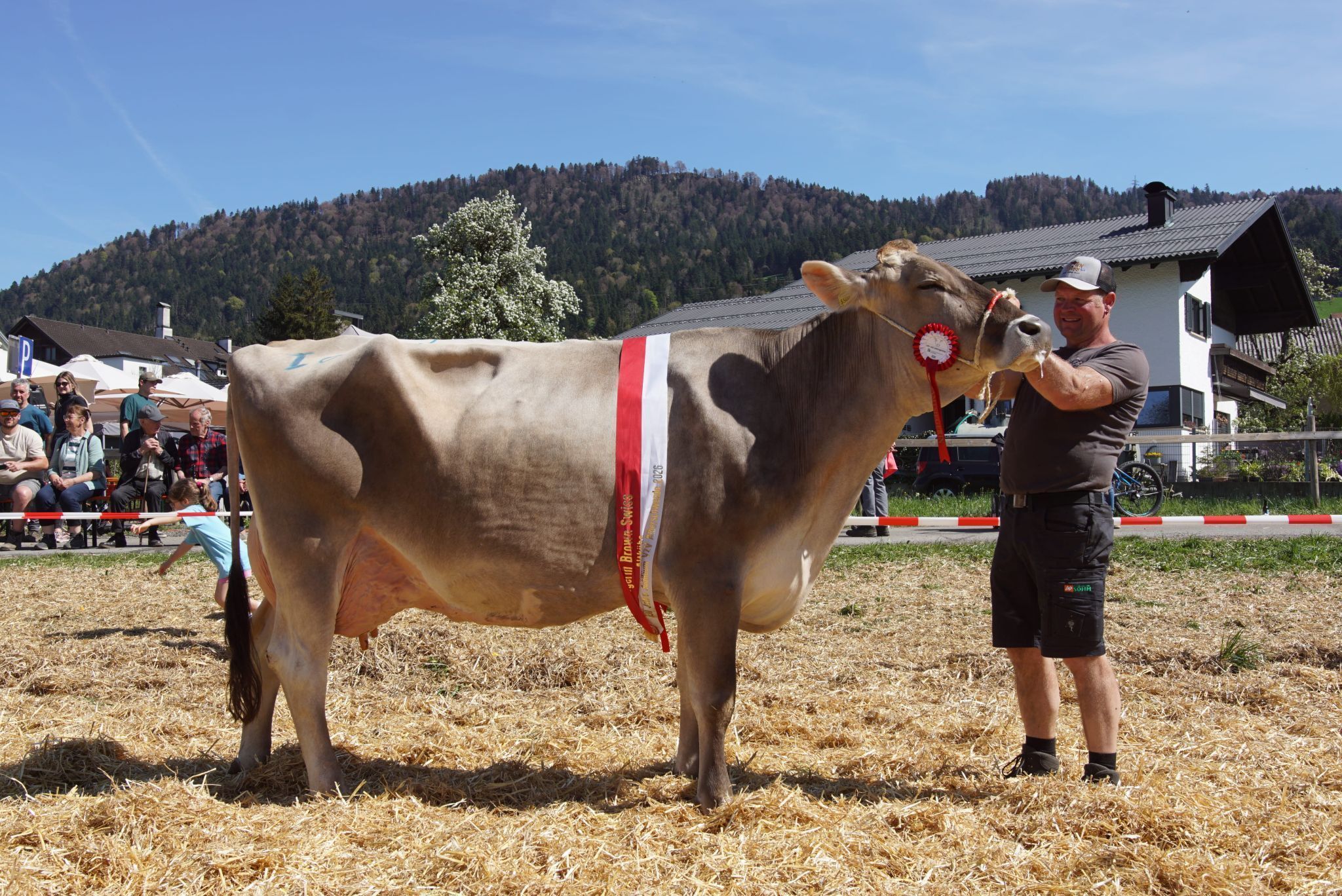 Stolzer Gesamtsieger: Martin Flatz mit seiner Brown-Swiss „Mila“.