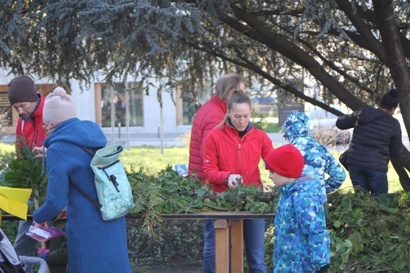 Palmbuschbinden in Rankweil (Bildergalerie)