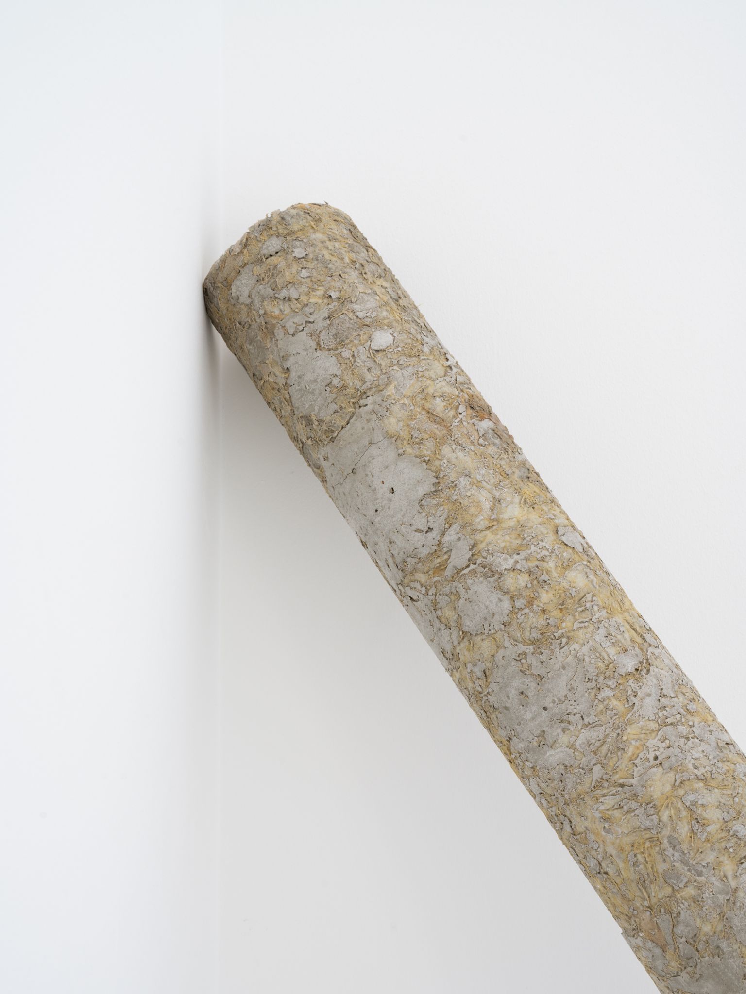 Die Ausstellung im Kunstraum Remise in Bludenz ist noch bis 19. April 2026 zu besichtigen.