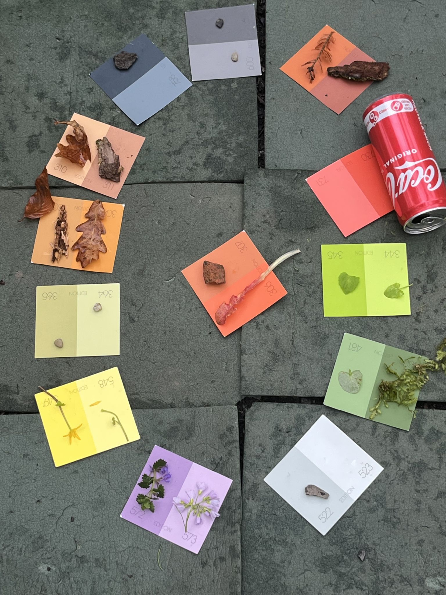 Mit Farbkarten wurden die gefundenen Sachen in der Natur zugeteilt. 