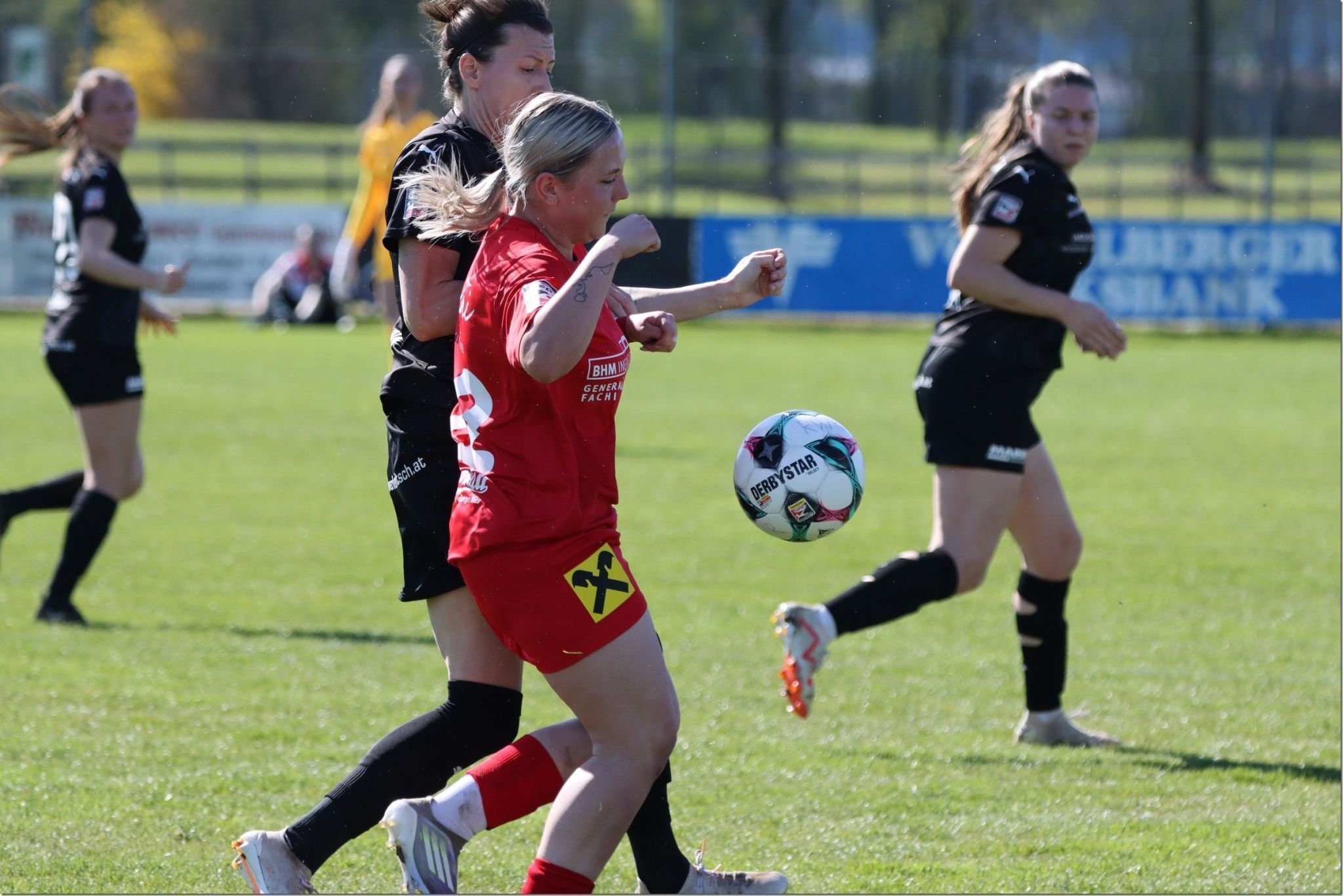 Bischof-Fuchs im erbitterten Zweikampf. 