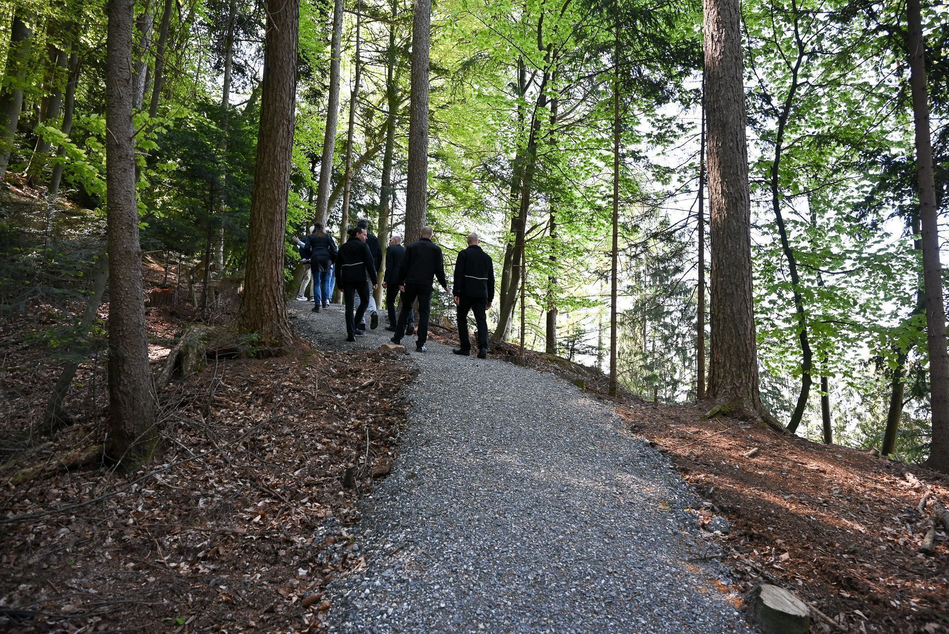 Der Mischwald hat verschiedene Plätze vorgesehen und erstreckt sich auf drei Hektar.
