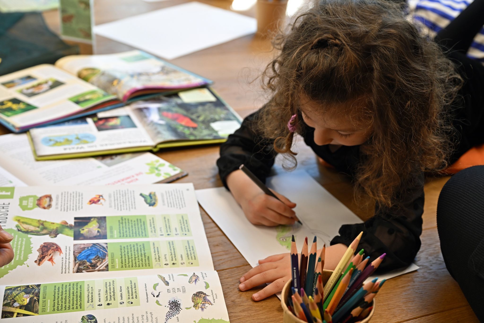 Froschvorlagen fanden die Kinder in den Büchern der Stadtbibliothek.