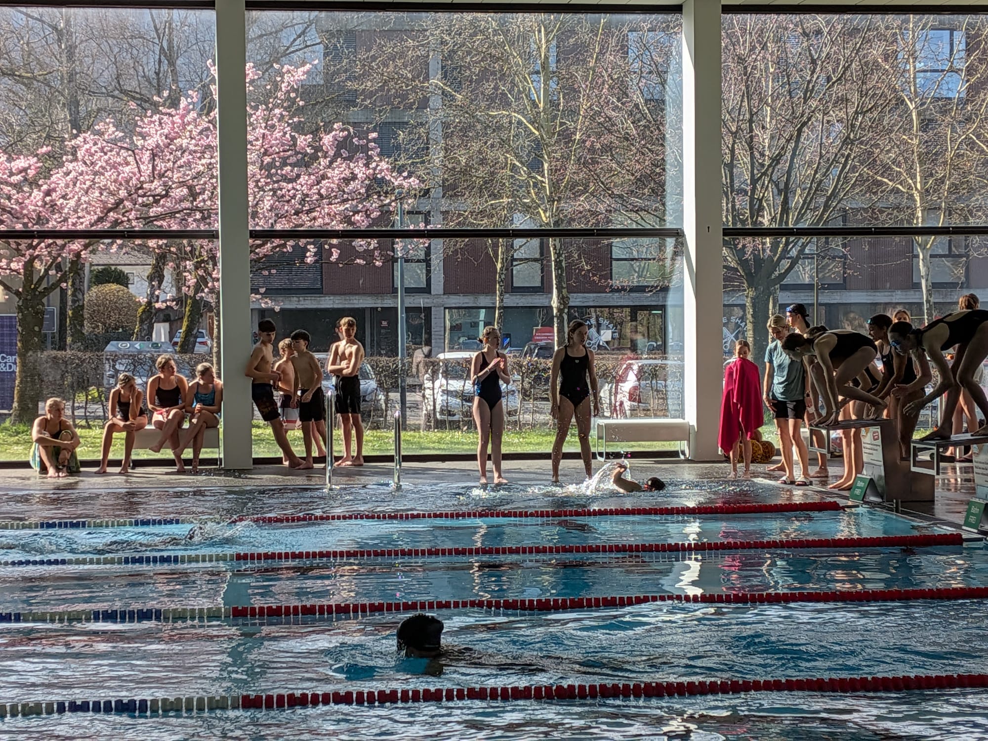 Starke Konkurrenz bei den Schwimm-Meisterschaften auf Landesebene in Dornbirn. 