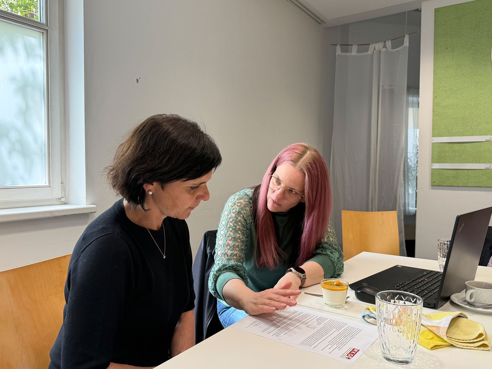 Nicole Albrecht-Kirchler (wko) und Daniela Novak (SVS) informierten.