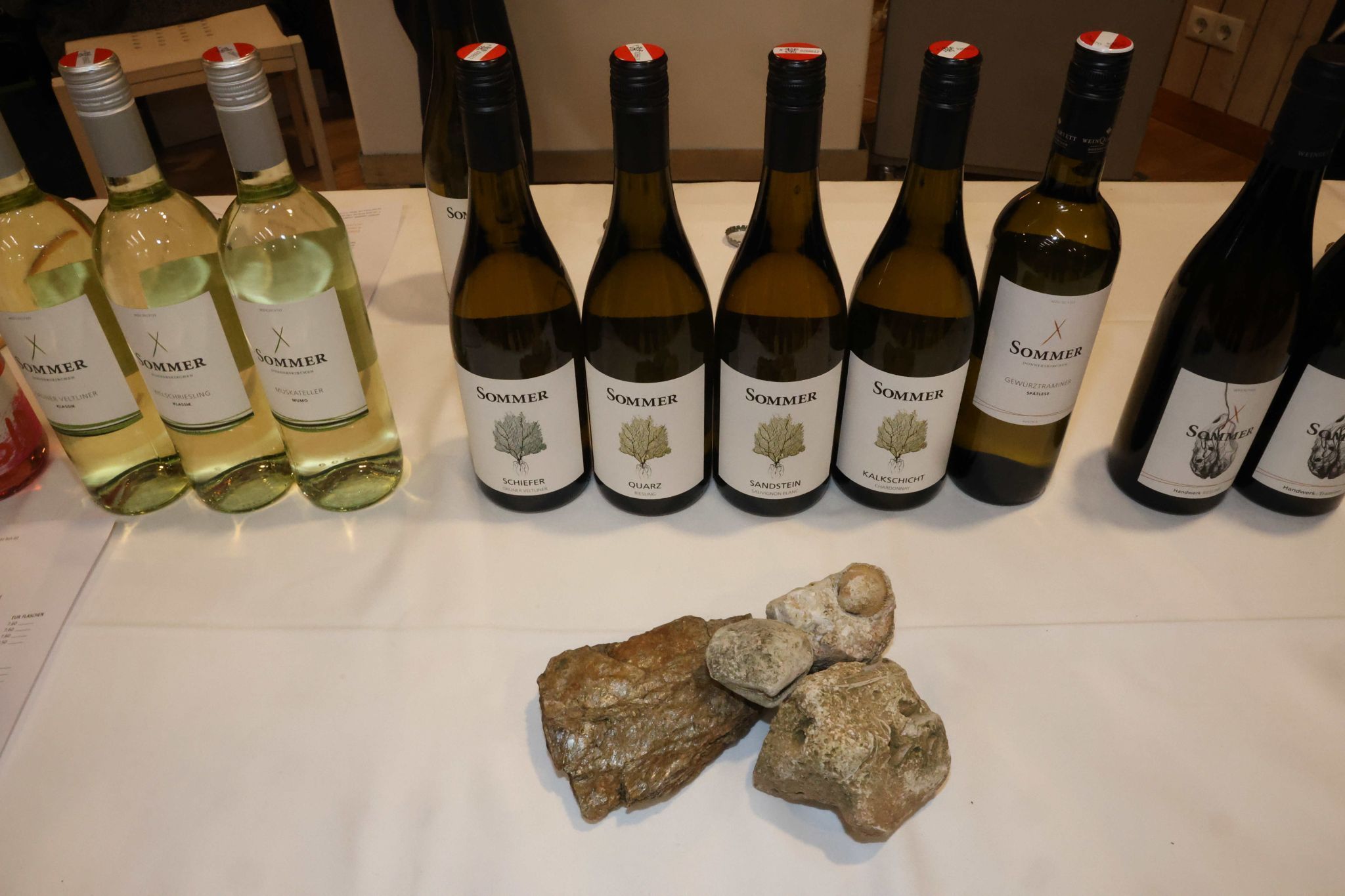 Einige Weine von Sommer mit heute noch an der Oberfläche zu findenden Versteinerungen.