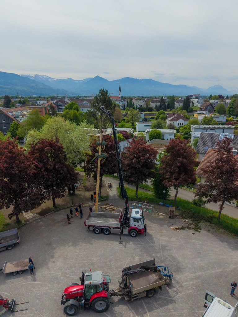 Eine Fichte, ein Dorf, ein Fest: Kraftakt für den Maibaum