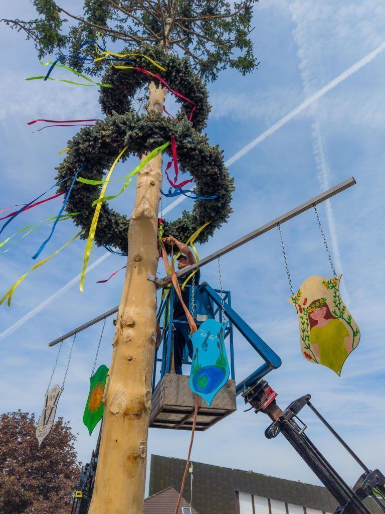 Eine Fichte, ein Dorf, ein Fest: Kraftakt für den Maibaum