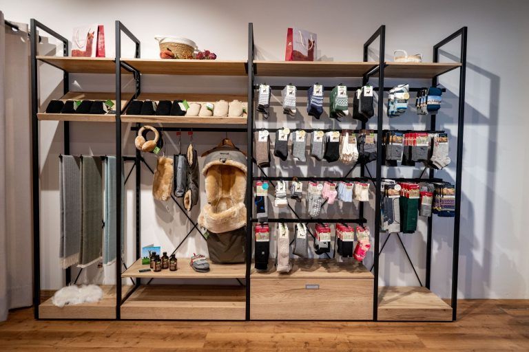 Vom Messepark in die City: Alpakas finden neues Zuhause