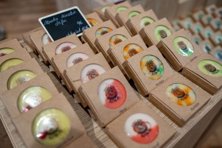 Vom Messepark in die City: Alpakas finden neues Zuhause