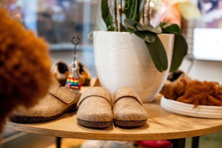 Vom Messepark in die City: Alpakas finden neues Zuhause