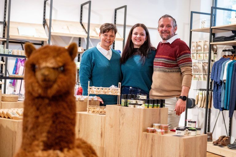 Vom Messepark in die City: Alpakas finden neues Zuhause