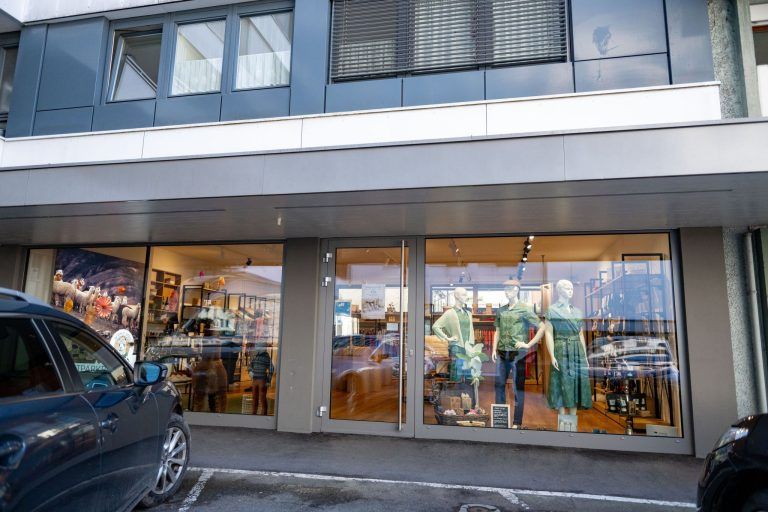 Vom Messepark in die City: Alpakas finden neues Zuhause