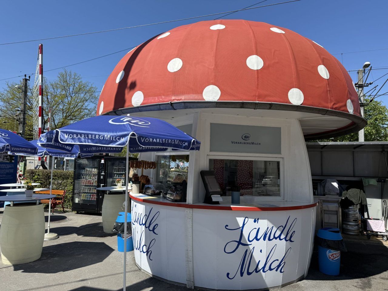 Tradition bleibt – doch beim Milchpilz wird sich mehr ändern, als viele erwarten