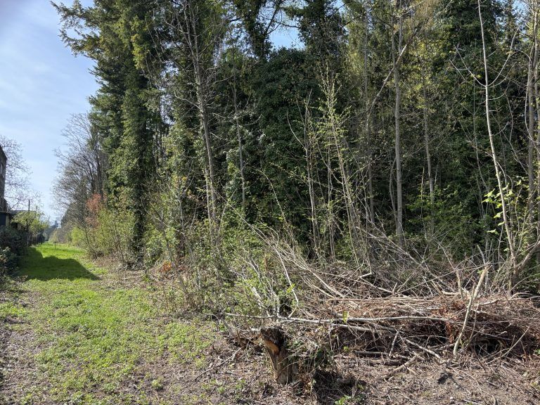 Zwei aufmerksame Nachbarn führen die Polizei zu Einbrechern