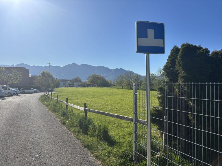 "Da musst du kurz schauen, ob man helfen kann" – wenn der Einbrecher vors Auto springt