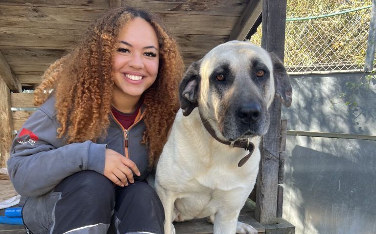 Die verschmuste Isra sucht ein neues Plätzchen