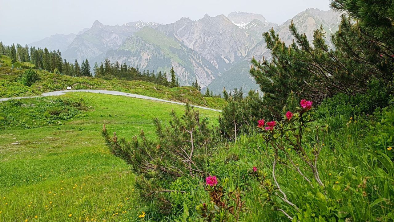 Klostertal: Das Bärenland am Sonnenkopf
