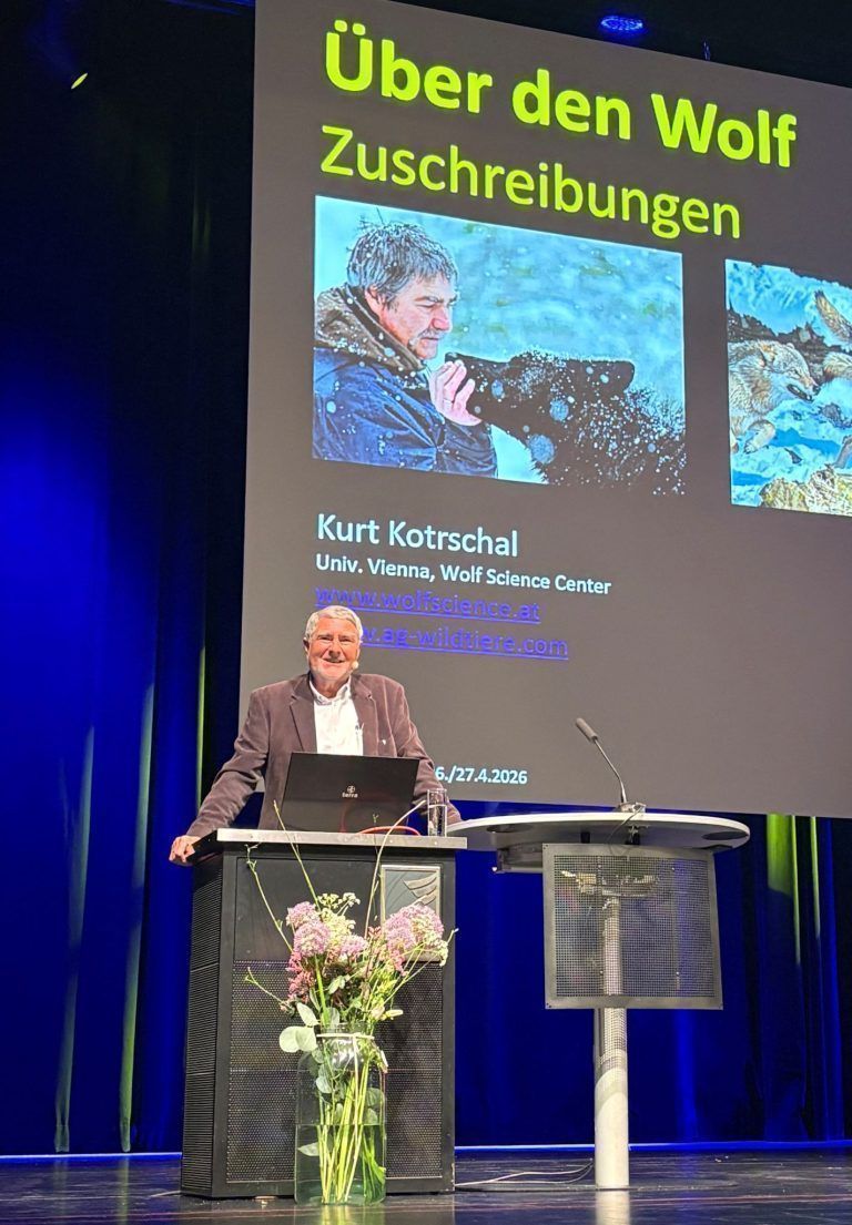 "Es laufen Ausrottungs-Kampagnen gegen den Wolf"