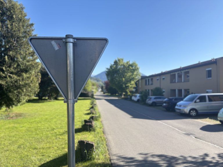 "Da musst du kurz schauen, ob man helfen kann" – wenn der Einbrecher vors Auto springt
