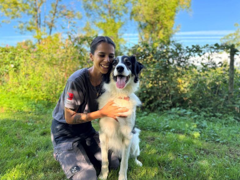 Warum der junge Willi noch immer auf sein Zuhause wartet