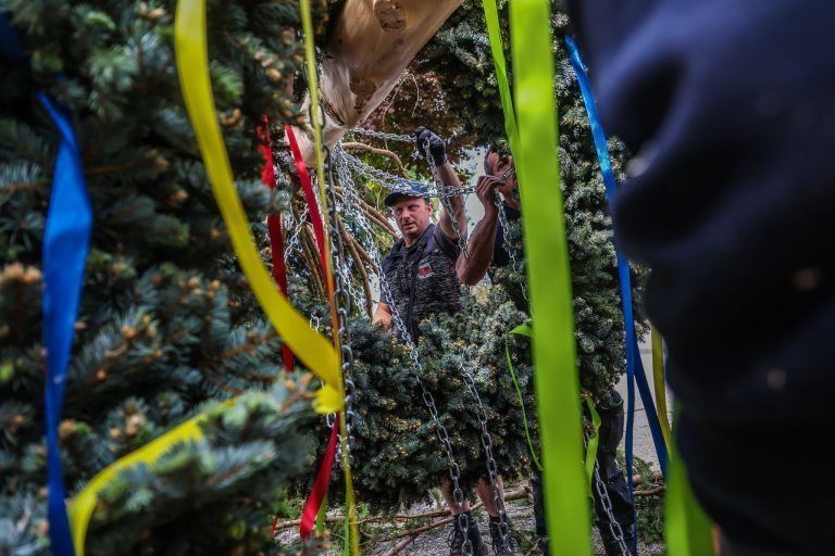 Eine Fichte, ein Dorf, ein Fest: Kraftakt für den Maibaum