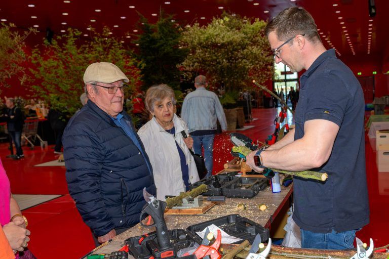 Zwischen Kirschbaum und Hühnerstall: Vorhang auf für die Schau!