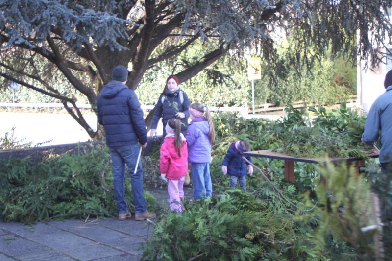 Palmbuschbinden in Rankweil (Bildergalerie)