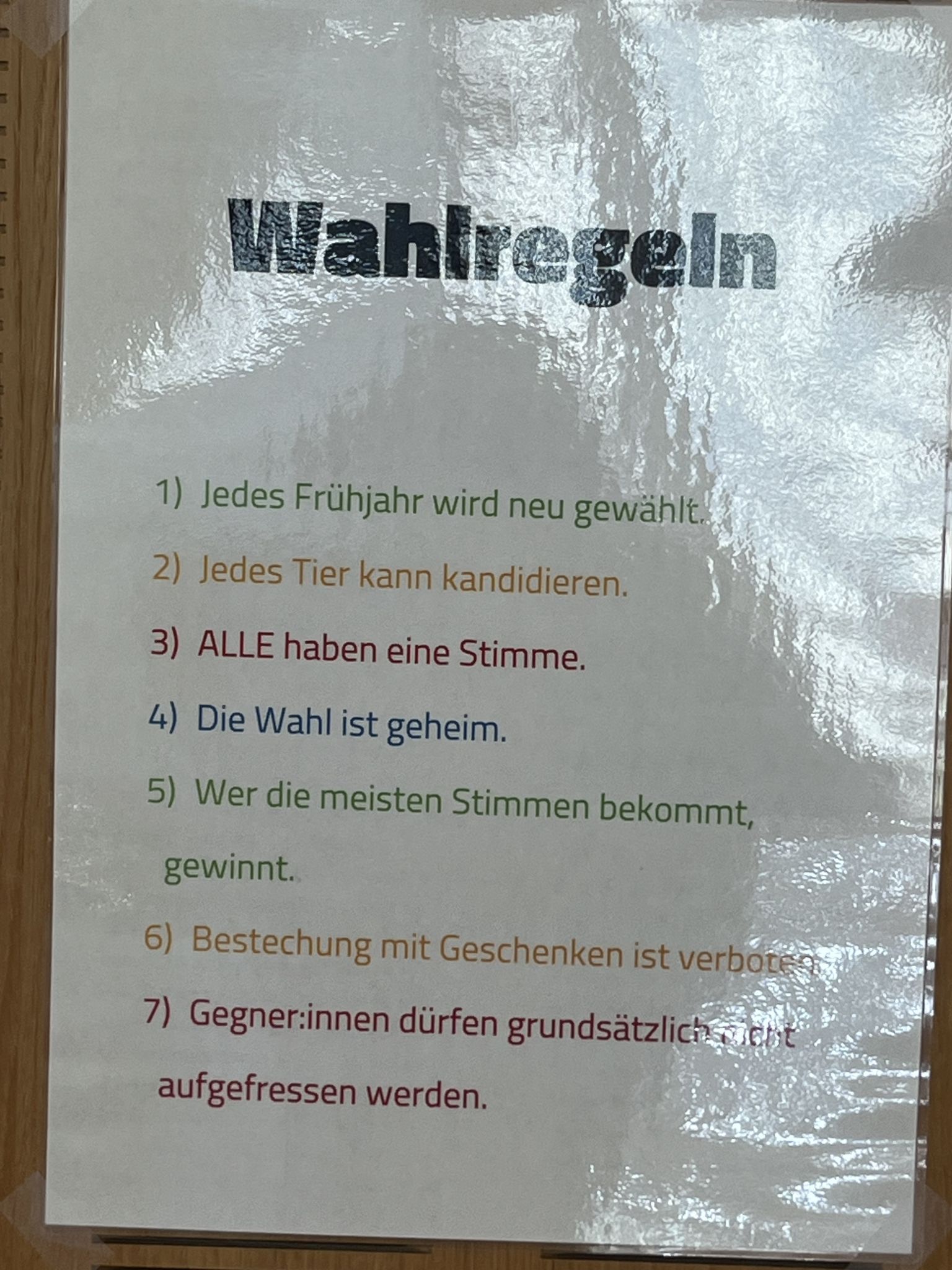 Natürlich gab es auch Wahlregeln. 