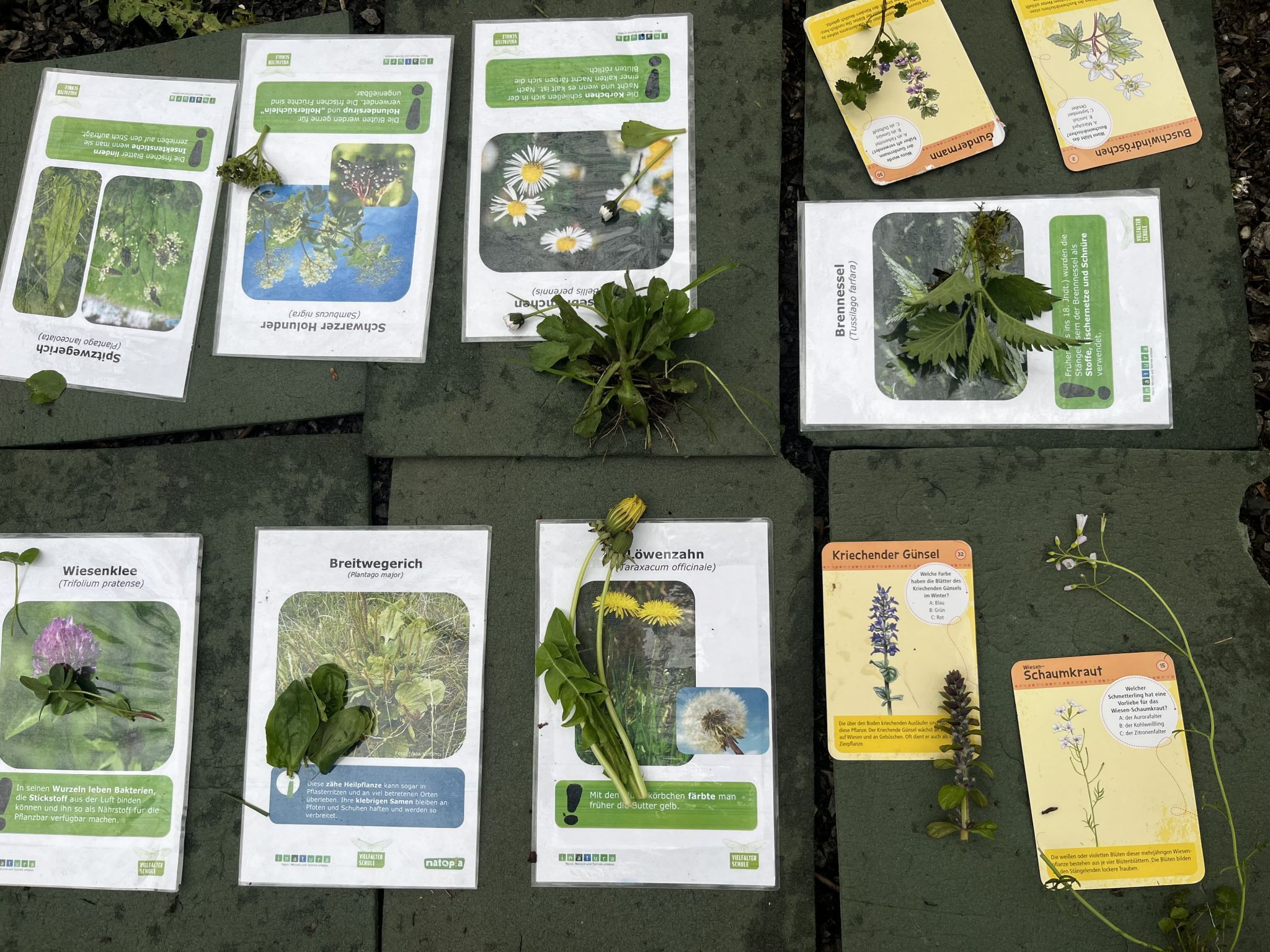 Die Kinder waren erfolgreich bei der Suche. 