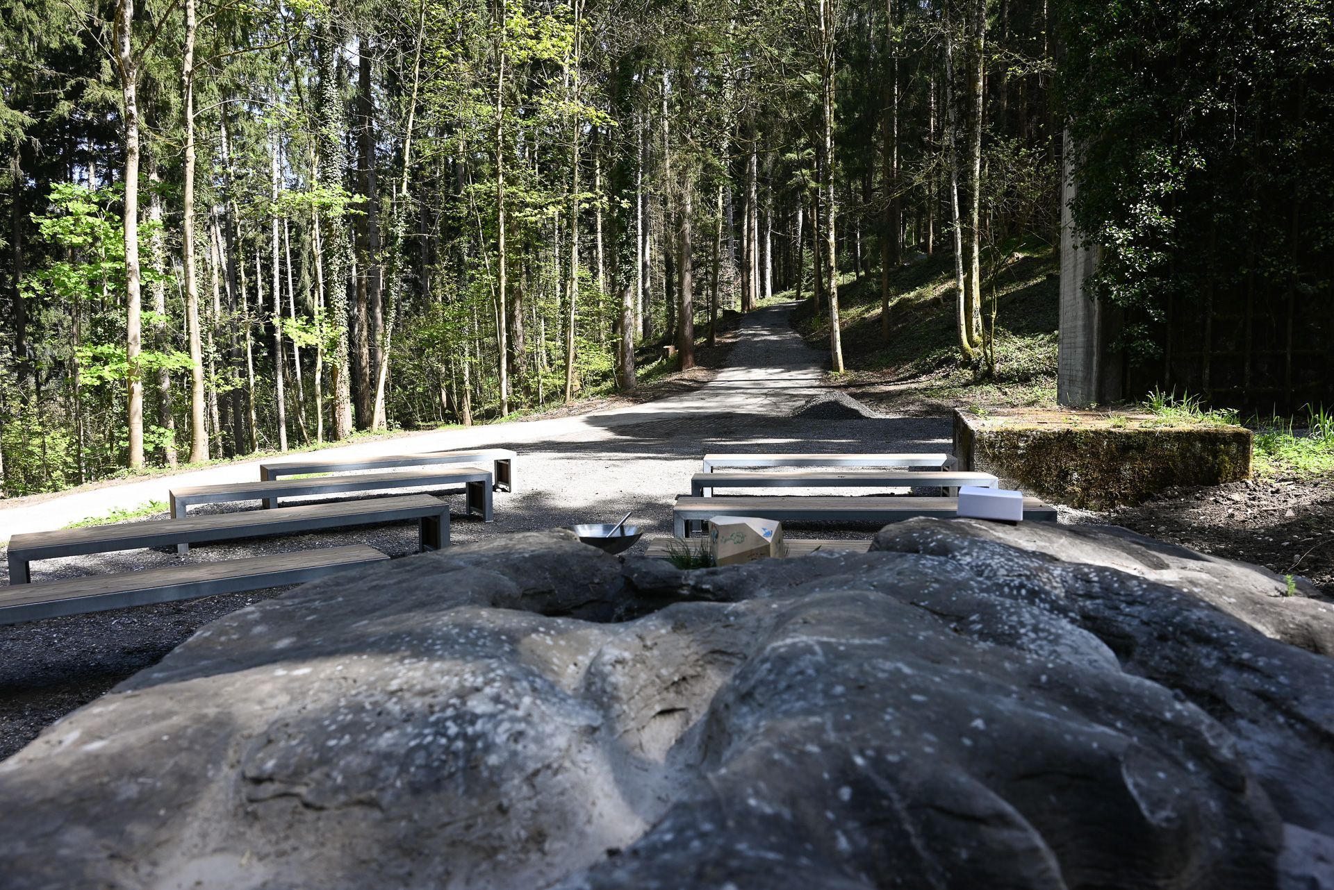 Die stille des Waldes und die Kraft, die von den Bäumen ausgeht, macht diesen Ort zu etwas Besonderem.