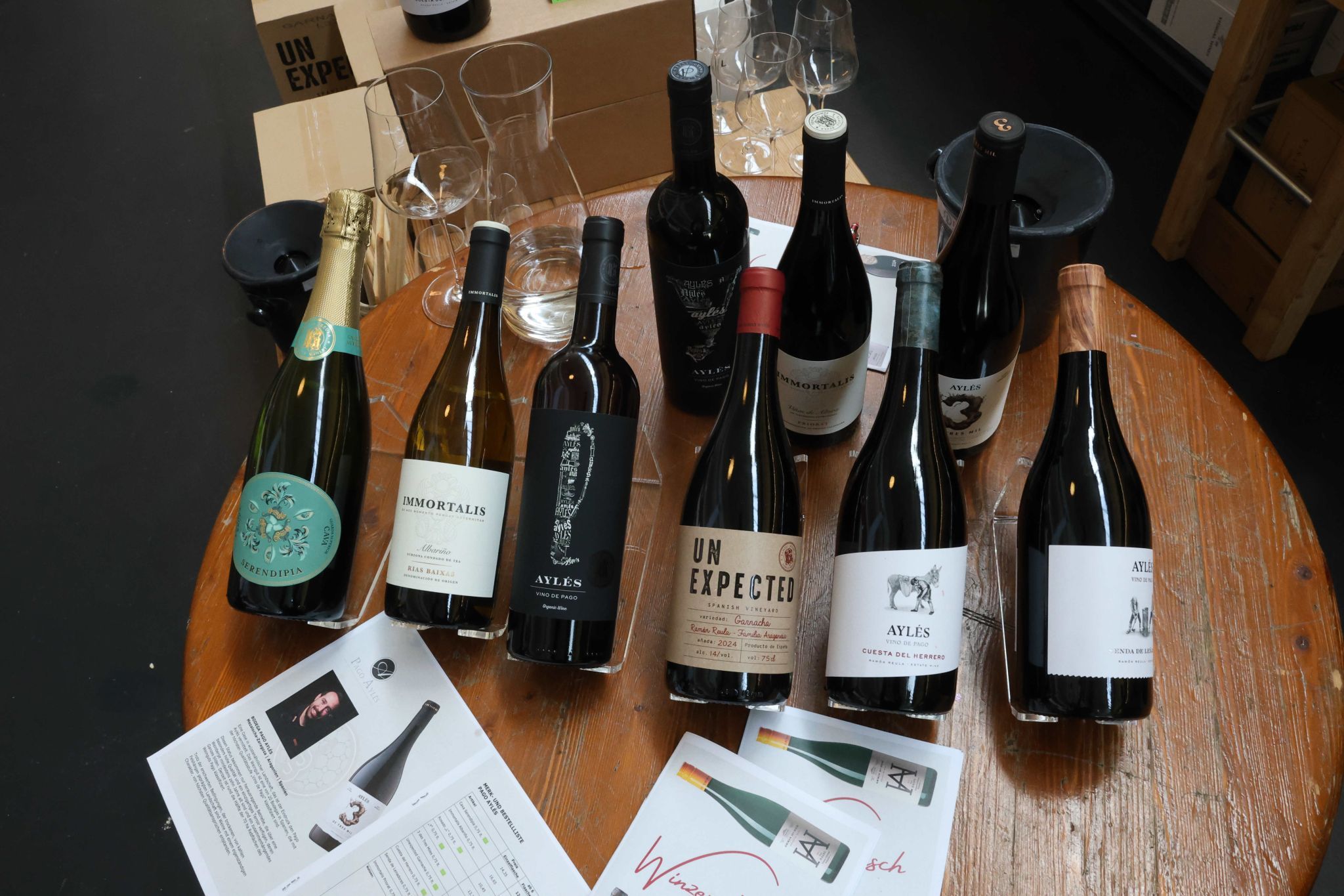 Weine der Bodega Pago Aylés.