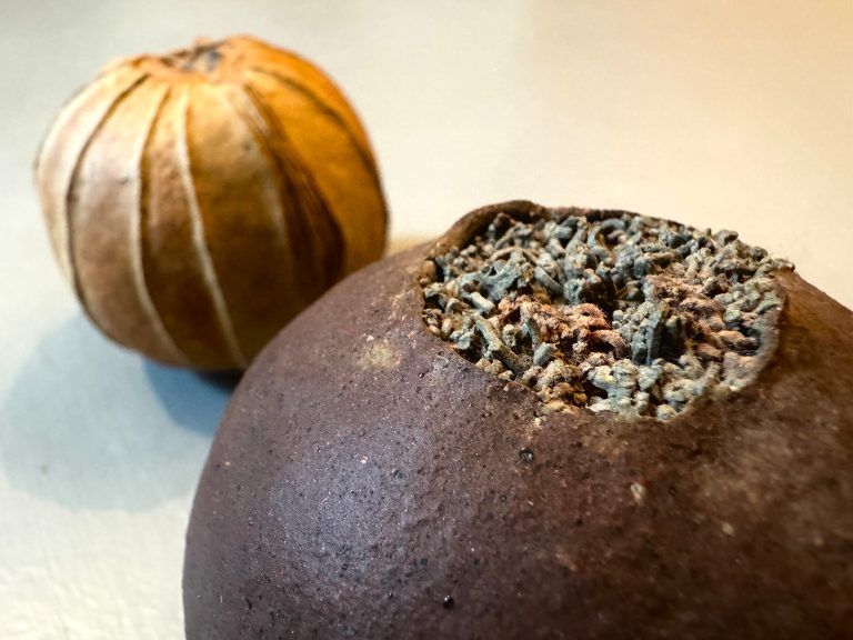 eva werdenich_maranda_oT _ nach 1990.jpg