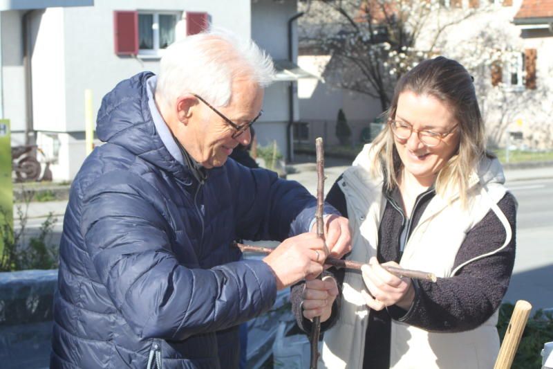 Palmbuschbinden in Rankweil (Bildergalerie)