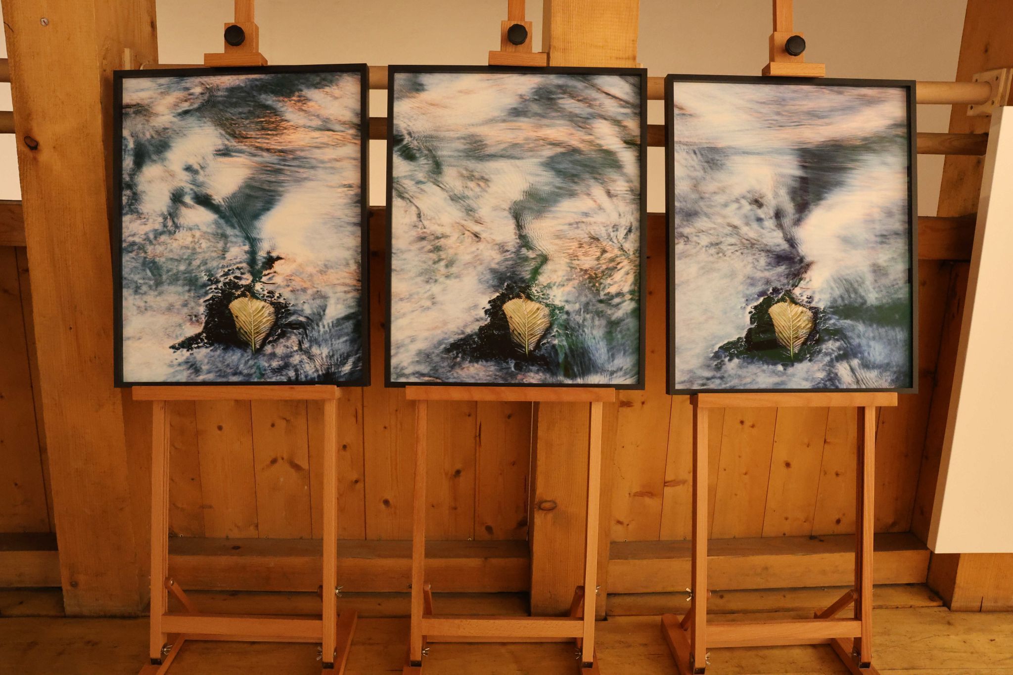 Ein Tryptichon mit Naturfotografie von Jean Theisen.