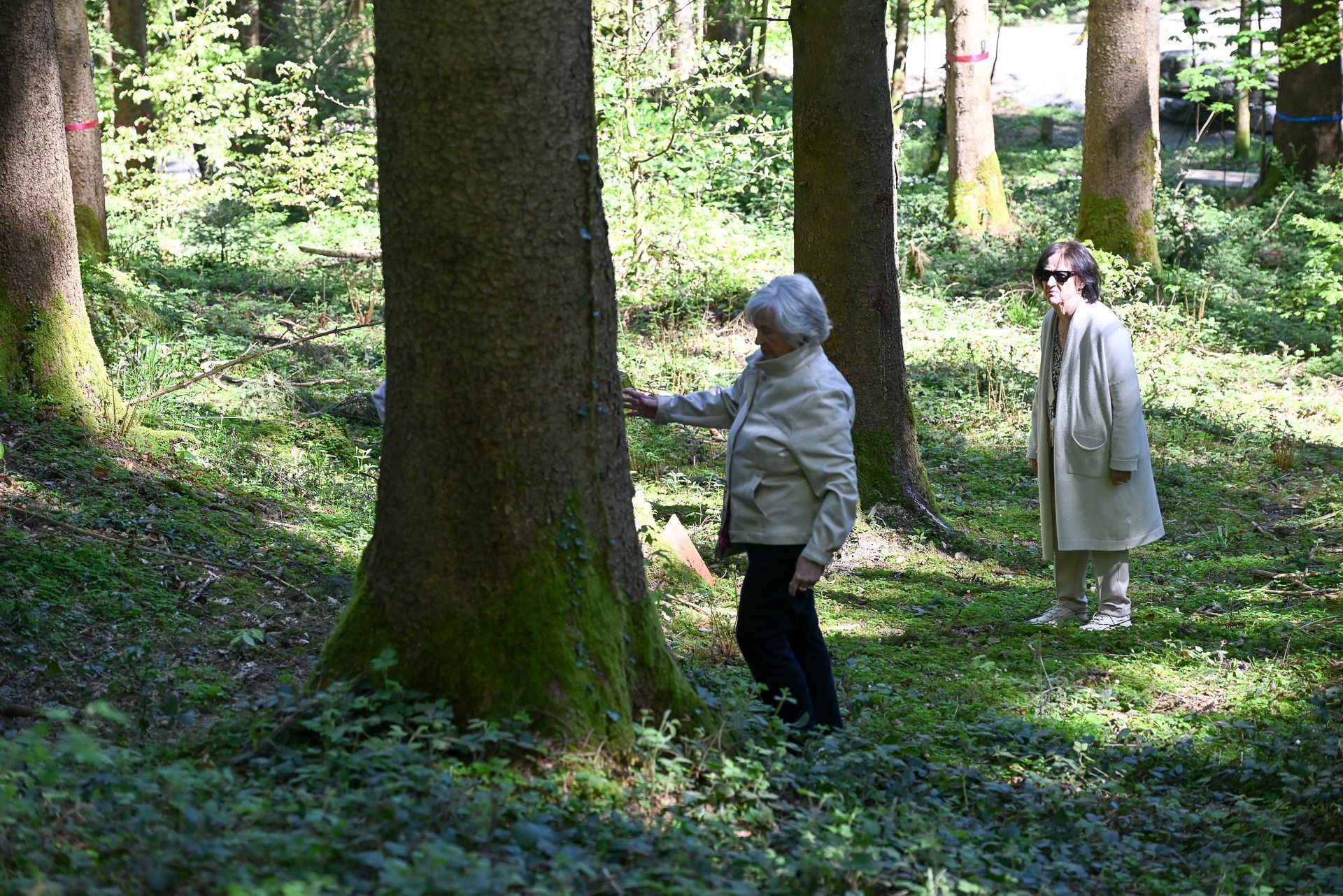 Menschen spazierten an den Bäumen entlang auf der Suche nach einem würdevollen Platz.