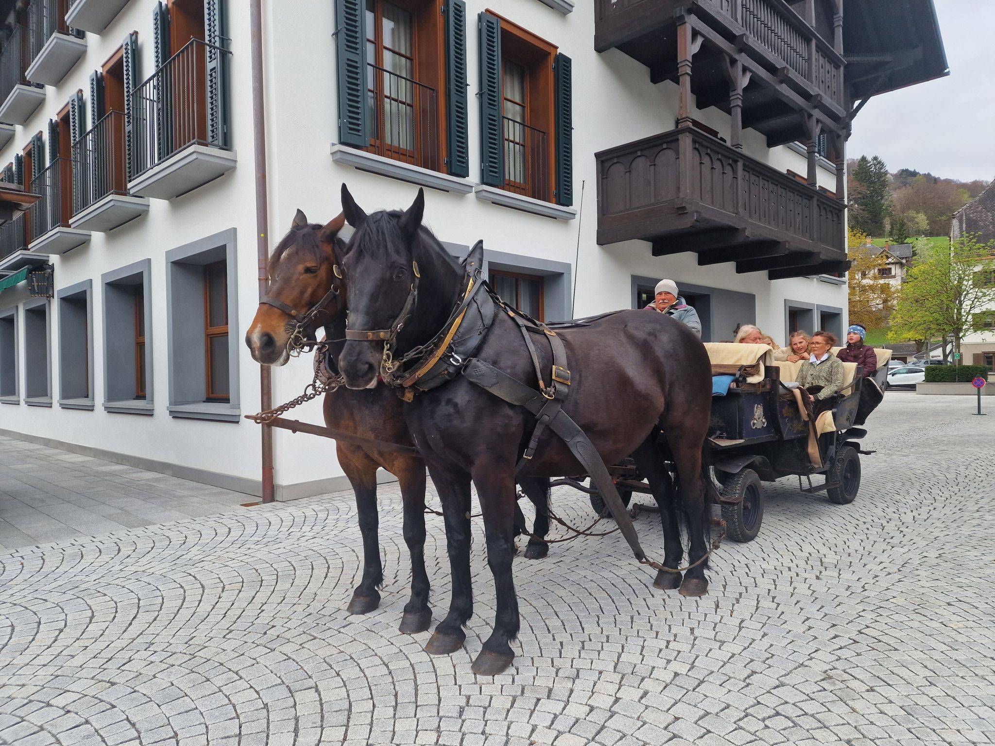 Eine Kutschenfahrt als Geshcenk