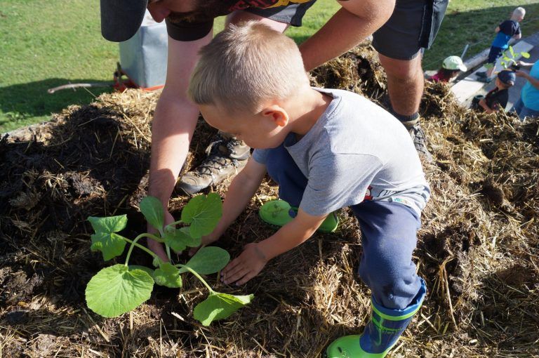 Deswegen sind am BORG Götzis bald auch die Kleinsten wichtig