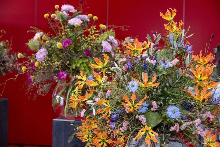 Zwischen Kirschbaum und Hühnerstall: Vorhang auf für die Schau!