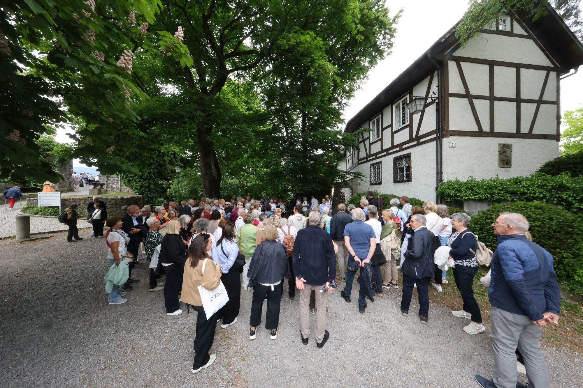 Erste Station unter einem großen Baum.
